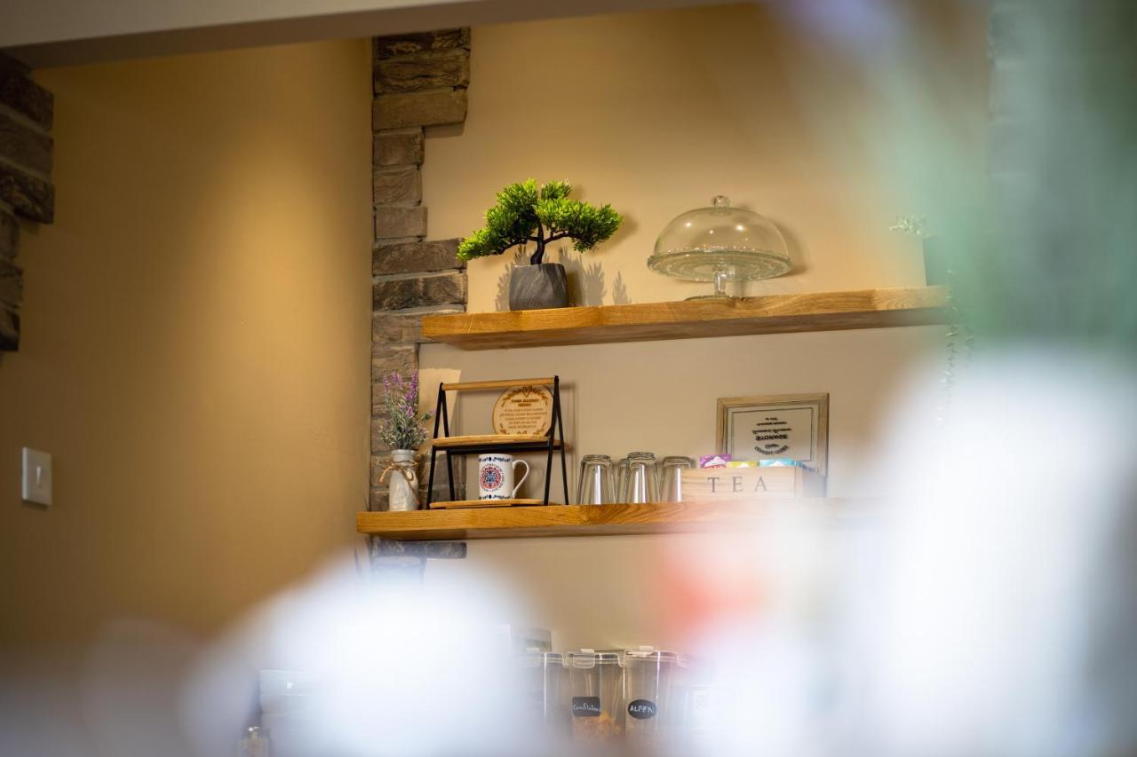 Sleepy Puffin Guest House 텐비 외부 사진
